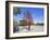 Yad Vashem Holocaust Memorial, Partisans Panorama Memorial Tree, Mount Herzl, Jerusalem, Israel-Gavin Hellier-Framed Photographic Print