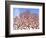 Yad Vashem Holocaust Memorial, Partisans Panorama Memorial Tree, Mount Herzl, Jerusalem, Israel-Gavin Hellier-Framed Photographic Print