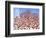 Yad Vashem Holocaust Memorial, Partisans Panorama Memorial Tree, Mount Herzl, Jerusalem, Israel-Gavin Hellier-Framed Photographic Print