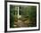 Yahoo Falls, Big South Fork National River and Recreation Area, Kentucky, USA-Adam Jones-Framed Photographic Print