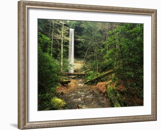 Yahoo Falls, Big South Fork National River and Recreation Area, Kentucky, USA-Adam Jones-Framed Photographic Print