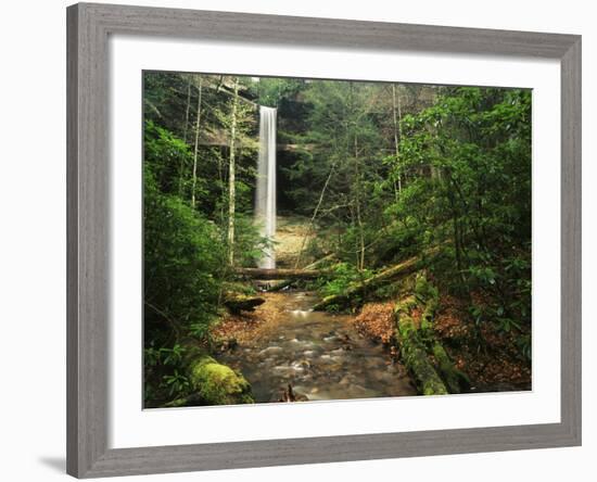 Yahoo Falls, Big South Fork National River and Recreation Area, Kentucky, USA-Adam Jones-Framed Photographic Print