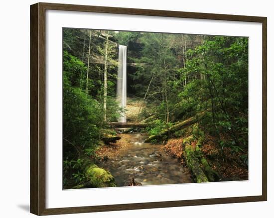 Yahoo Falls, Big South Fork National River and Recreation Area, Kentucky, USA-Adam Jones-Framed Photographic Print