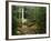 Yahoo Falls, Big South Fork National River and Recreation Area, Kentucky, USA-Adam Jones-Framed Photographic Print