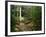 Yahoo Falls, Big South Fork National River and Recreation Area, Kentucky, USA-Adam Jones-Framed Photographic Print