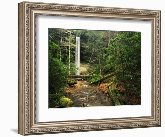 Yahoo Falls, Big South Fork National River and Recreation Area, Kentucky, USA-Adam Jones-Framed Photographic Print