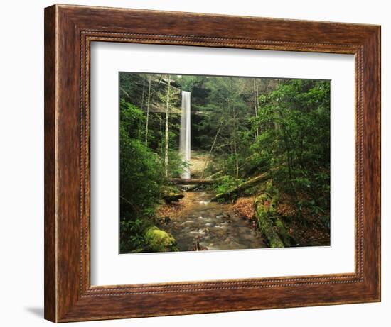 Yahoo Falls, Big South Fork National River and Recreation Area, Kentucky, USA-Adam Jones-Framed Photographic Print