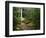 Yahoo Falls, Big South Fork National River and Recreation Area, Kentucky, USA-Adam Jones-Framed Photographic Print