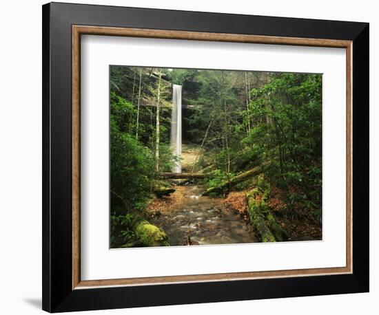 Yahoo Falls, Big South Fork National River and Recreation Area, Kentucky, USA-Adam Jones-Framed Photographic Print