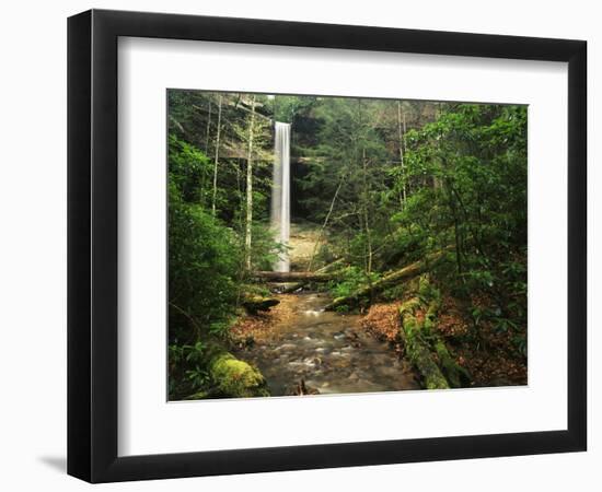 Yahoo Falls, Big South Fork National River and Recreation Area, Kentucky, USA-Adam Jones-Framed Photographic Print