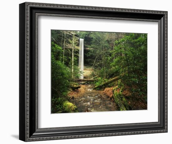 Yahoo Falls, Big South Fork National River and Recreation Area, Kentucky, USA-Adam Jones-Framed Photographic Print