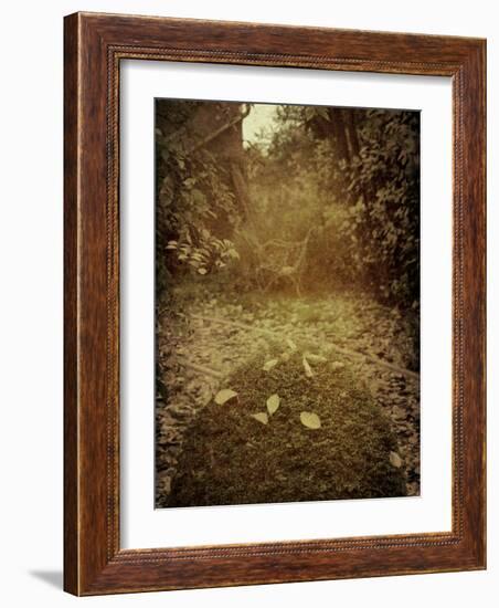 Yajo-Tim Kahane-Framed Photographic Print