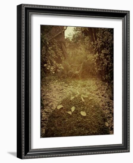 Yajo-Tim Kahane-Framed Photographic Print