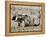 Yak-Drawn Plough in Barley Field High on Tibetan Plateau, Tibet, China-Tony Waltham-Framed Premier Image Canvas