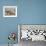 Yak-Drawn Plough in Barley Field High on Tibetan Plateau, Tibet, China-Tony Waltham-Framed Photographic Print displayed on a wall