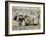 Yak-Drawn Plough in Barley Field High on Tibetan Plateau, Tibet, China-Tony Waltham-Framed Photographic Print