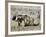 Yak-Drawn Plough in Barley Field High on Tibetan Plateau, Tibet, China-Tony Waltham-Framed Photographic Print