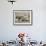 Yak-Drawn Plough in Barley Field High on Tibetan Plateau, Tibet, China-Tony Waltham-Framed Photographic Print displayed on a wall