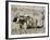 Yak-Drawn Plough in Barley Field High on Tibetan Plateau, Tibet, China-Tony Waltham-Framed Photographic Print