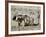 Yak-Drawn Plough in Barley Field High on Tibetan Plateau, Tibet, China-Tony Waltham-Framed Photographic Print