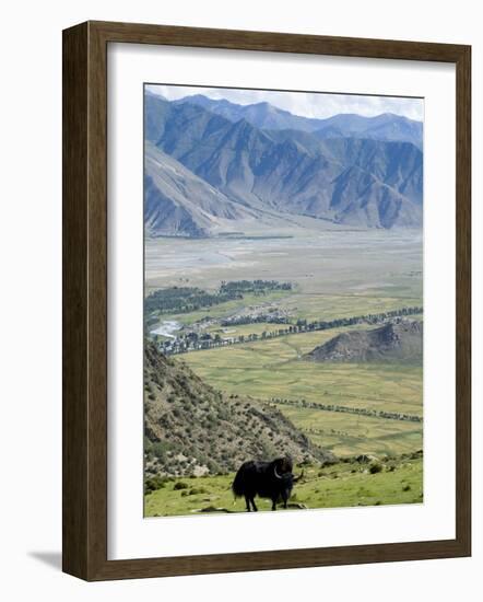 Yak, Ganden Monastery, Near Lhasa, Tibet, China-Ethel Davies-Framed Photographic Print