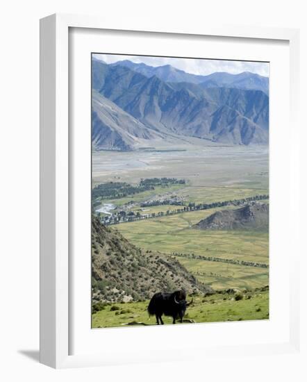 Yak, Ganden Monastery, Near Lhasa, Tibet, China-Ethel Davies-Framed Photographic Print