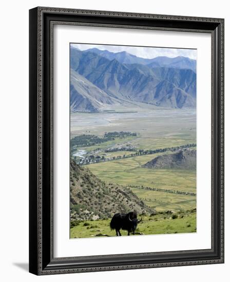 Yak, Ganden Monastery, Near Lhasa, Tibet, China-Ethel Davies-Framed Photographic Print