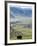 Yak, Ganden Monastery, Near Lhasa, Tibet, China-Ethel Davies-Framed Photographic Print