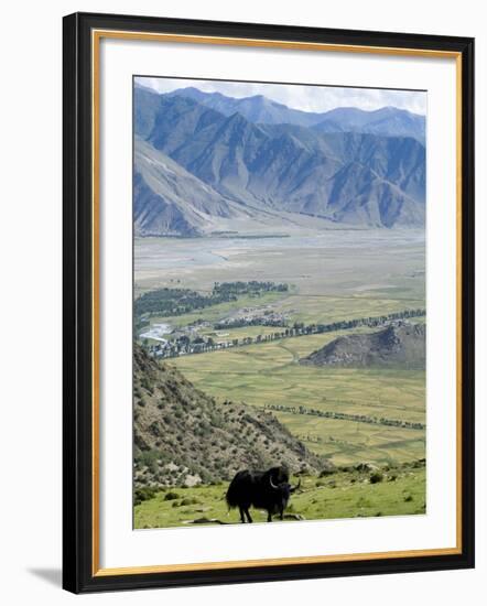 Yak, Ganden Monastery, Near Lhasa, Tibet, China-Ethel Davies-Framed Photographic Print