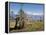 Yak Grazing on Top of the Pele La Mountain Pass with the Himalayas in the Background, Bhutan-Michael Runkel-Framed Premier Image Canvas