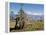 Yak Grazing on Top of the Pele La Mountain Pass with the Himalayas in the Background, Bhutan-Michael Runkel-Framed Premier Image Canvas