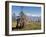 Yak Grazing on Top of the Pele La Mountain Pass with the Himalayas in the Background, Bhutan-Michael Runkel-Framed Photographic Print