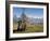 Yak Grazing on Top of the Pele La Mountain Pass with the Himalayas in the Background, Bhutan-Michael Runkel-Framed Photographic Print