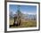 Yak Grazing on Top of the Pele La Mountain Pass with the Himalayas in the Background, Bhutan-Michael Runkel-Framed Photographic Print