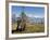 Yak Grazing on Top of the Pele La Mountain Pass with the Himalayas in the Background, Bhutan-Michael Runkel-Framed Photographic Print