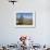 Yak Grazing on Top of the Pele La Mountain Pass with the Himalayas in the Background, Bhutan-Michael Runkel-Framed Photographic Print displayed on a wall