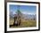 Yak Grazing on Top of the Pele La Mountain Pass with the Himalayas in the Background, Bhutan-Michael Runkel-Framed Photographic Print