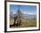 Yak Grazing on Top of the Pele La Mountain Pass with the Himalayas in the Background, Bhutan-Michael Runkel-Framed Photographic Print