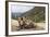 Yak in Drak Yerpa, Tibet, China, Asia-Thomas L-Framed Photographic Print