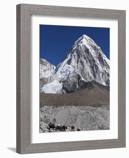 Yak on a Trail Below Kala Pattar and Pumori, 7165M, Sagarmatha National Park, Himalayas-Christian Kober-Framed Photographic Print