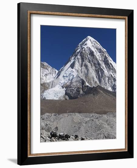 Yak on a Trail Below Kala Pattar and Pumori, 7165M, Sagarmatha National Park, Himalayas-Christian Kober-Framed Photographic Print