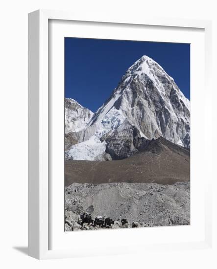 Yak on a Trail Below Kala Pattar and Pumori, 7165M, Sagarmatha National Park, Himalayas-Christian Kober-Framed Photographic Print