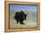 Yak, Tibet, Asia-Gavin Hellier-Framed Premier Image Canvas