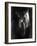 Yakilium-Lynne Davies-Framed Photographic Print