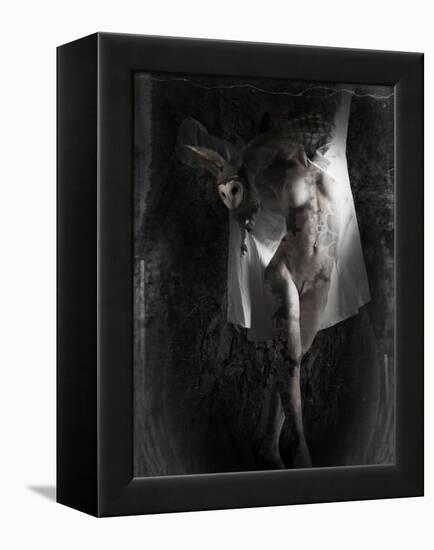 Yakilium-Lynne Davies-Framed Premier Image Canvas