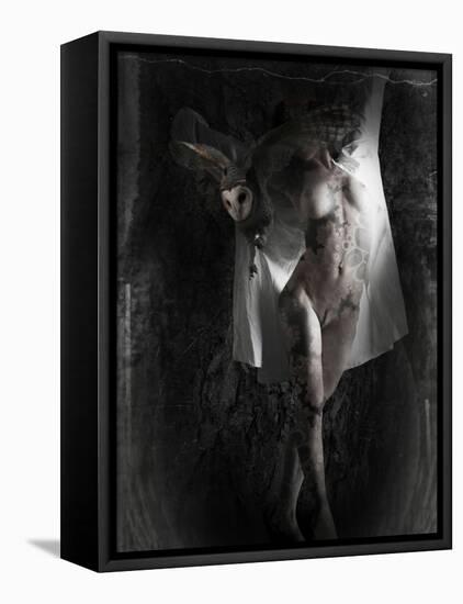 Yakilium-Lynne Davies-Framed Premier Image Canvas