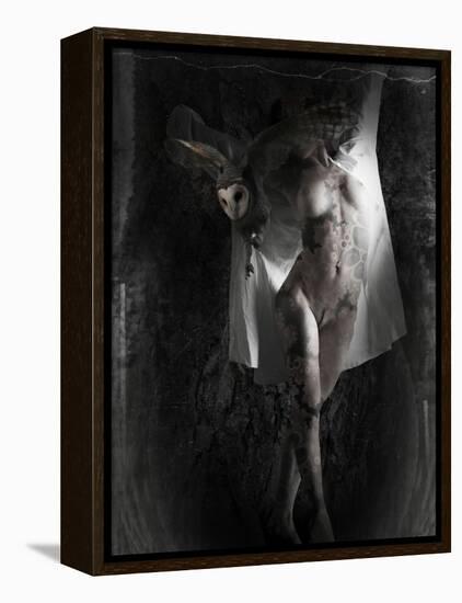 Yakilium-Lynne Davies-Framed Premier Image Canvas