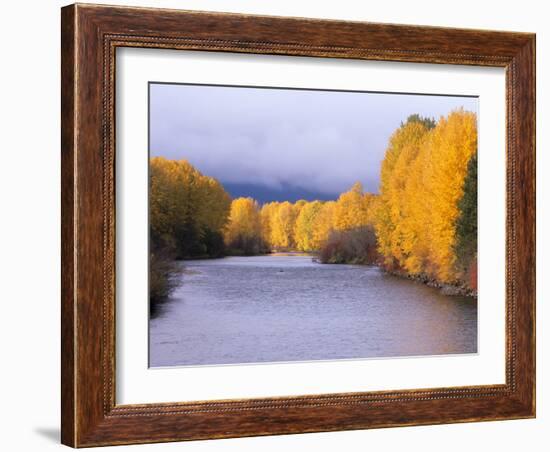 Yakima River and Trees in Autumn, Near Cle Elum, Kittitas County, Washington, USA-Jamie & Judy Wild-Framed Photographic Print