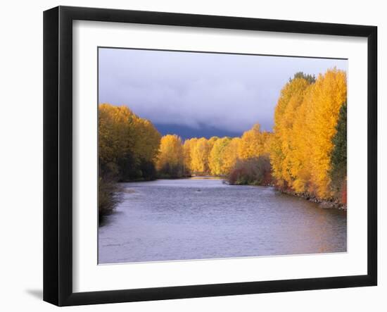 Yakima River and Trees in Autumn, Near Cle Elum, Kittitas County, Washington, USA-Jamie & Judy Wild-Framed Photographic Print