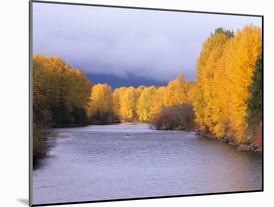 Yakima River and Trees in Autumn, Near Cle Elum, Kittitas County, Washington, USA-Jamie & Judy Wild-Mounted Photographic Print